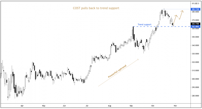 COST Daily Candle Chart